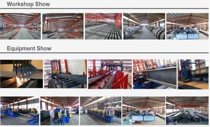 Qingdao Xinguangzheng Husbandry Co.,  Ltd γραμμή παραγωγής εργοστασίων