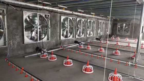 OEM σύστημα πάτωμα κοτόπουλο 380V κοτόπουλο επίπεδη ανύψωση ολόκληρο το σπίτι σύστημα