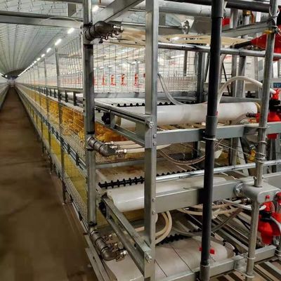Βιομηχανική κτηνοτροφία Σιδηροδρομική δομή Γεωργία Χώρος Χρησιμοποίηση Πλατεία πολύχρωμη
