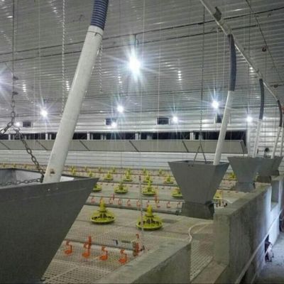 Ζυγισμένο φύλλο Κτηνοτροφικό κτήμα Σιδηροδρομική δομή Φυτοπαραγωγός Σπιτάκια κοτόπουλων