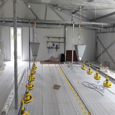 SGS Κτηνοτροφικό Σπίτι Προετοιμασμένο Αυτοματοποιημένο Χάλυβα Φρέμα Κοτόπουλο