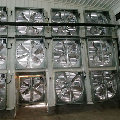 OEM Standard Poultry House Steel δομή με συρόμενα παράθυρα
