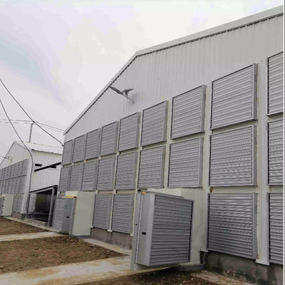 OEM Standard Poultry House Steel δομή με συρόμενα παράθυρα
