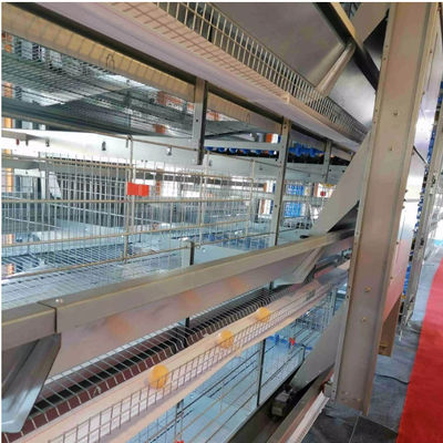 OEM Standard Poultry House Steel δομή με συρόμενα παράθυρα