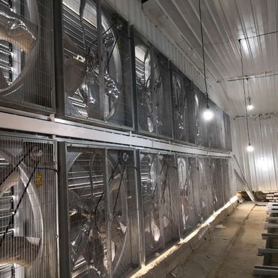 Σύστημα κλουβιών κοτόπουλου με μεγάλα πλάτη 230M*56M για τη χώρα προέλευσης