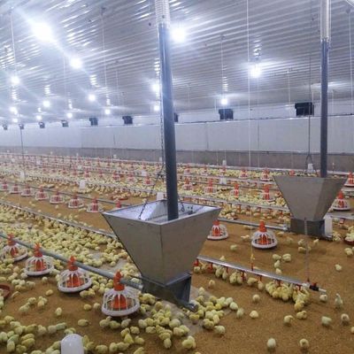 Διαρκές σύστημα δαπέδου κρέατος κοτόπουλου με αντοχή στη διάβρωση / πλαστική ύλη