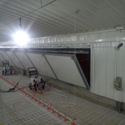 Πρότυπο συστήματος δαπέδου αντιγλιστρούμενων κοτόπουλων για ανώτερη απόδοση