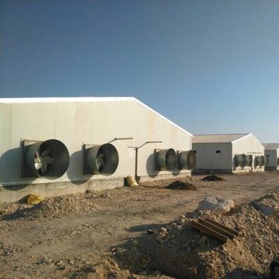 Προσαρμοσμένη οροφή από καραβίδες Προσκευασμένο σπίτι πουλερικών με μονωτικά πάνελ
