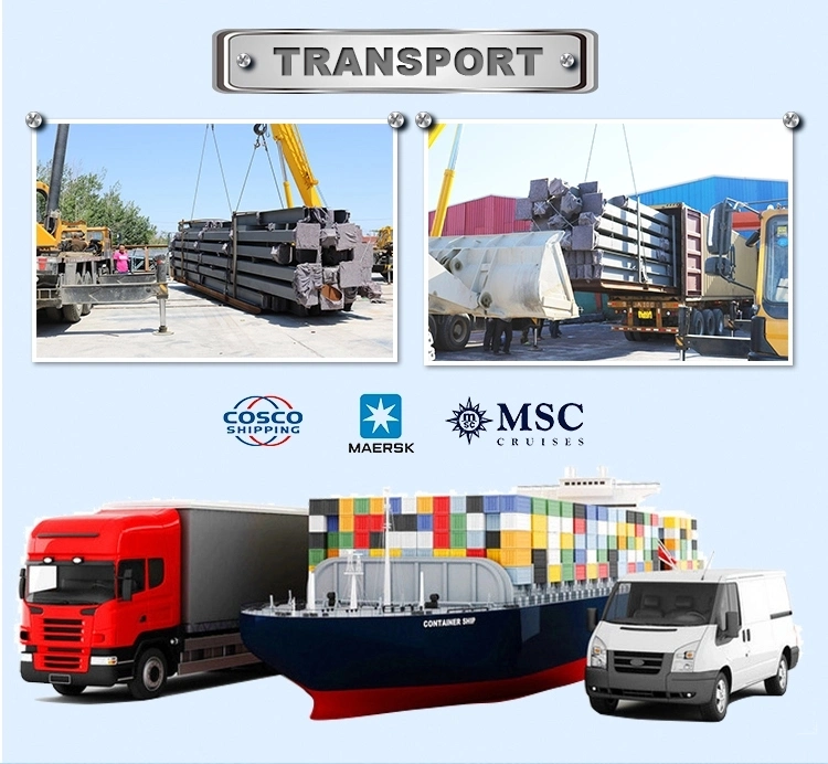 SGS Κτηνοτροφικό Σπίτι Προετοιμασμένο Αυτοματοποιημένο Χάλυβα Φρέμα Κοτόπουλο 10